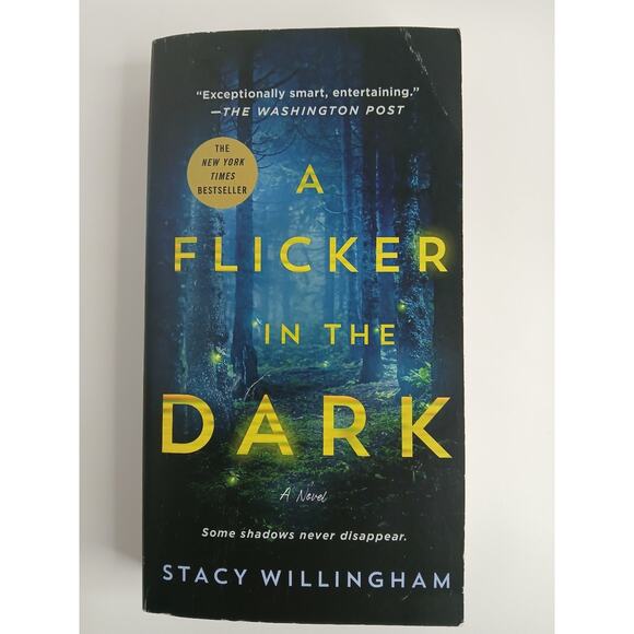 A Flicker in the Dark: A Novel - Paperback By Stacy Willingham- GOOD - Picture 1 of 3